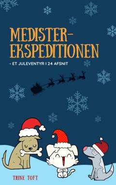 Medister-ekspeditionen : et juleeventyr i 24 afsnit
