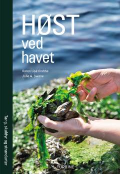 Høst ved havet : tang, skaldyr og strandurter