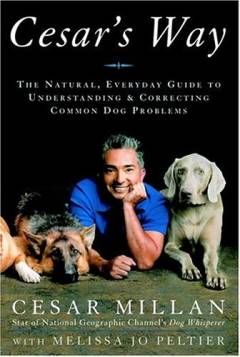 Cesar's way : the natural, everyday guide to understanding and correcting common dog problems