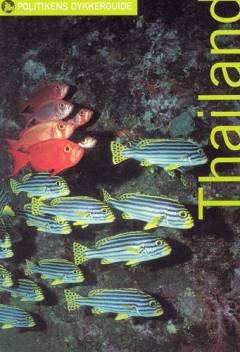 Bog, 1. udgave, 2002