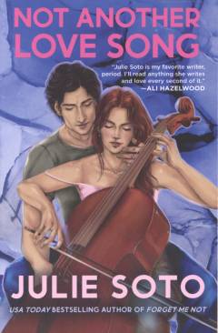 Not another love song