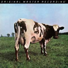 Atom heart mother