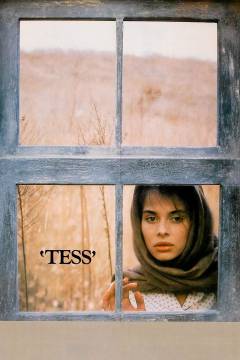 Film (dvd), 2002
