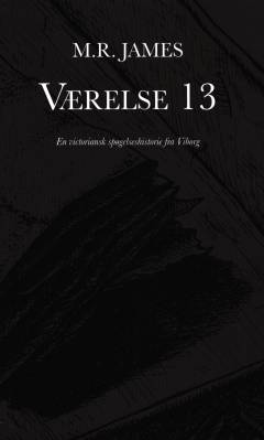 Værelse 13 : en victoriansk spøgelseshistorie fra Viborg