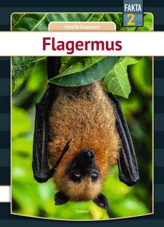 Flagermus
