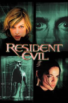 Film (dvd), 2013
