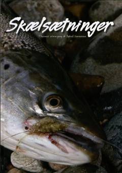 Skælsætninger