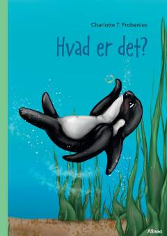 Hvad er det?