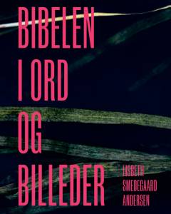 Bibelen i ord og billeder