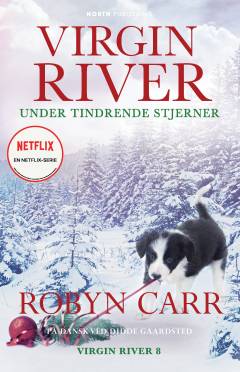 Virgin River - under tindrende stjerner