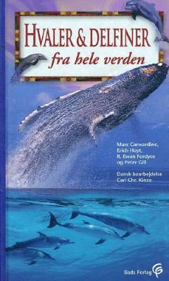 Bog, 1999
