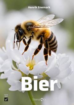 Bier
