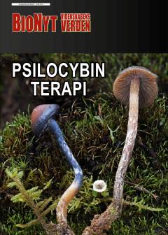Psilocybinterapi