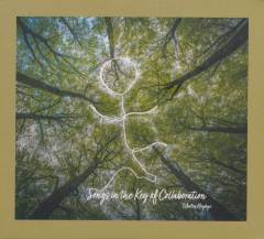 Songs in the key of collaboration