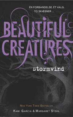 Beautiful creatures - stormvind. Bind 1