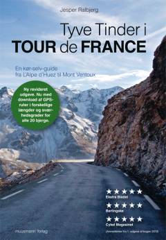 Bog, Ny udgave, 2013