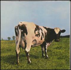 Atom heart mother