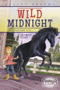 Wild midnight : a Emily story