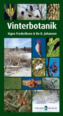 Vinterbotanik