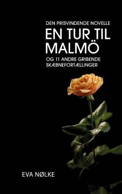 En tur til Malmö og 11 andre gribende skæbnefortællinger