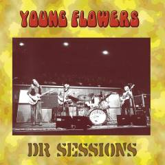 DR sessions