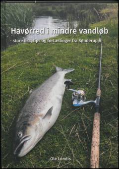 Havørred i mindre vandløb