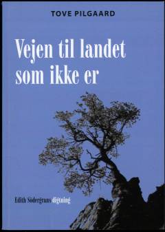 Vejen til landet som ikke er : Edith Södergrans digtning