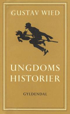 Ungdomshistorier : en fortælling