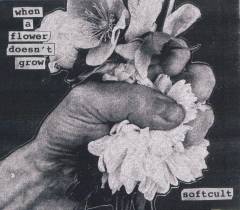 When a flower doesn't grow