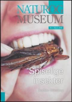 Spiselige insekter