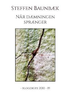 Når dæmningen sprænger : blogdigte 2010-19