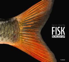 Fisk - scaled-up