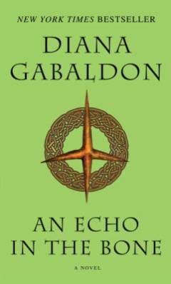 An echo in the bone : a novel