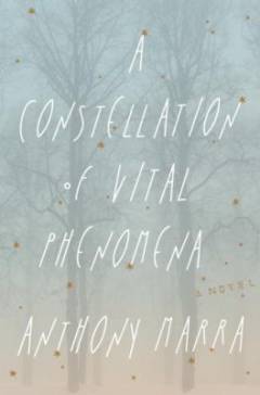 A constellation of vital phenomena : a novel