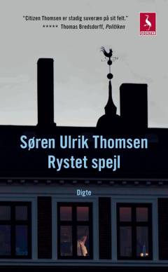 Rystet spejl : digte