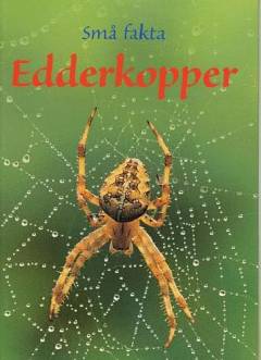 Edderkopper
