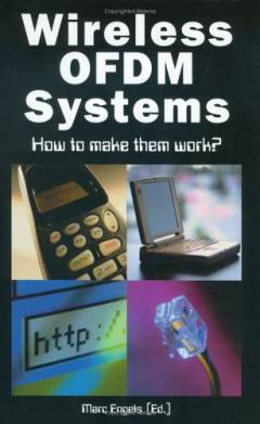 Wireless OFDM systems : how to make them work?