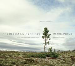 The oldest living things in the world