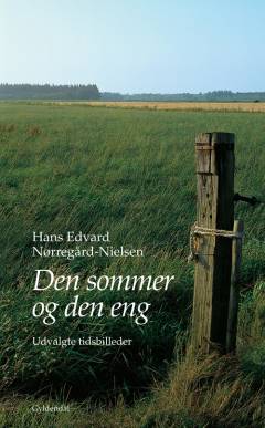 Den sommer og den eng : udvalgte tidsbilleder