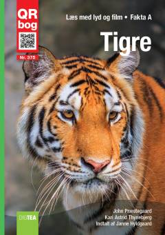 Tigre