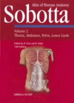 Atlas of human anatomy. Volume 2 : Thorax, abdomen, pelvis, lower limb