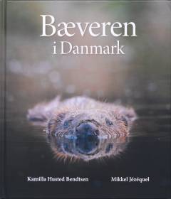 Bæveren i Danmark
