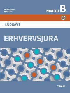 Erhvervsjura : niveau B
