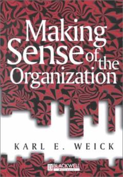 Making sense of the organization