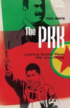The PKK : coming down from the mountains