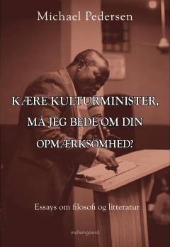 Kære kulturminister, må jeg bede om din opmærksomhed? : essays om filosofi og litteratur