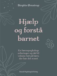 Hjælp og forstå barnet : en børnepsykologs erfaringer og råd til voksne tæt på børn, der har det svært