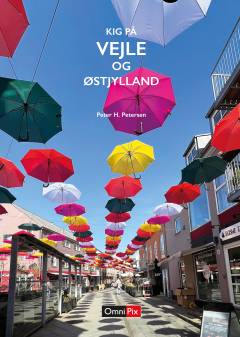 Kig på Vejle og Østjylland