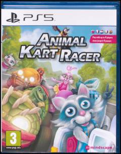 Renzo racer