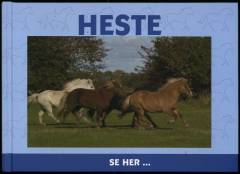 Heste